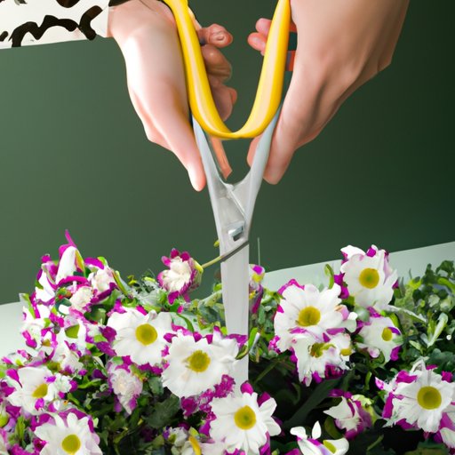 Know How to Care for Cut Flowers