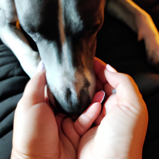 Show Unconditional Love and Acceptance