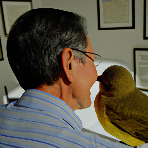 Research the Benefits of Being a Snowbird