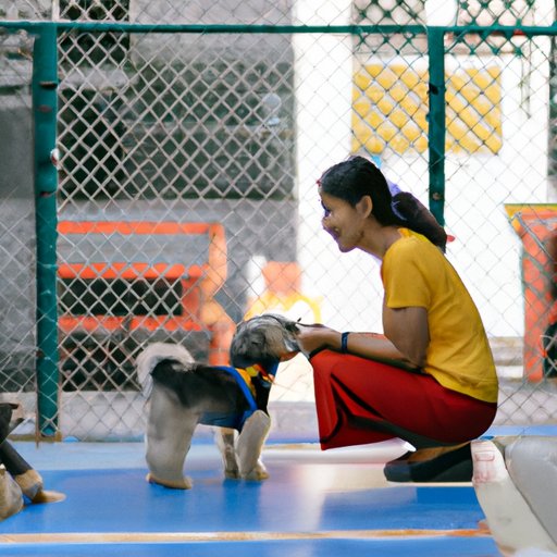 Develop Good Interpersonal Skills for Working With Pet Owners