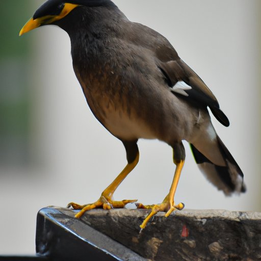 Have an Air of Confidence – Carry yourself with poise and stand tall no matter what the circumstance.