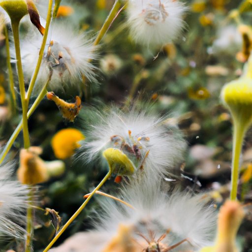 Notice and Appreciate the Little Things