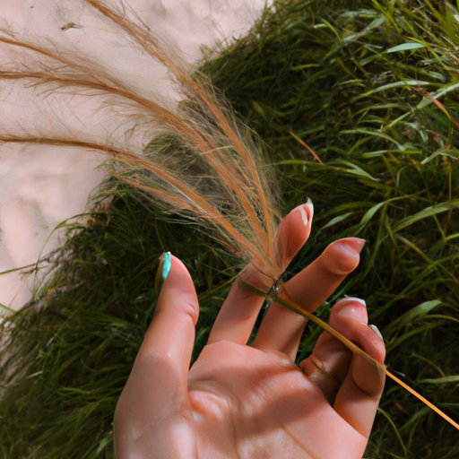 Connect with Nature and the Elements