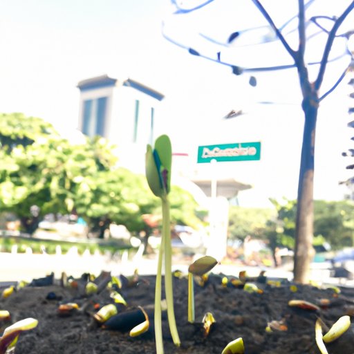 Start Small and Build Up Gradually