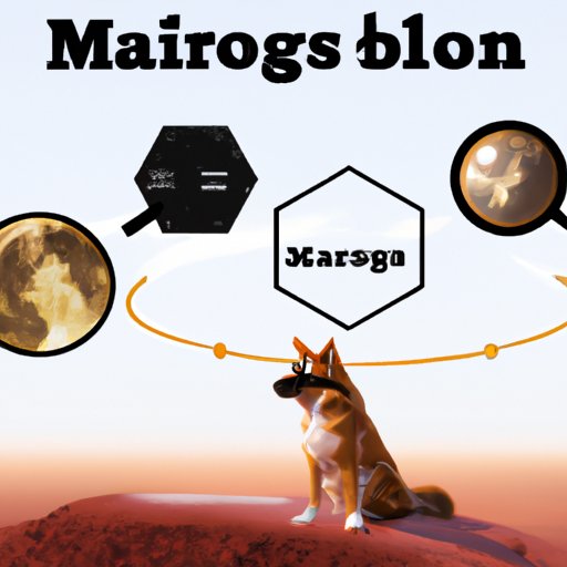 How to Buy Dogelon Mars Crypto A StepbyStep Guide The Enlightened