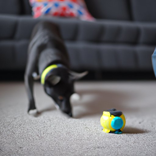 Programming Autonomous Dog Toys with AI