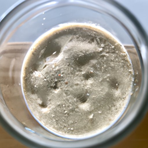 Everything You Need to Know About Making Sourdough Starter