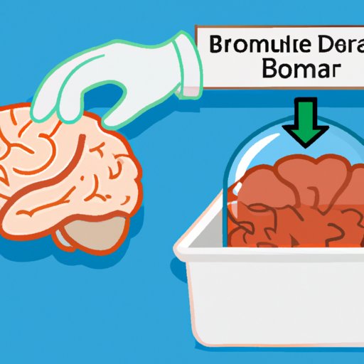 Process for Donating Brain to Science