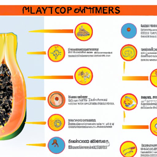 Overview of Nutritional Benefits of Eating Papaya Seeds
