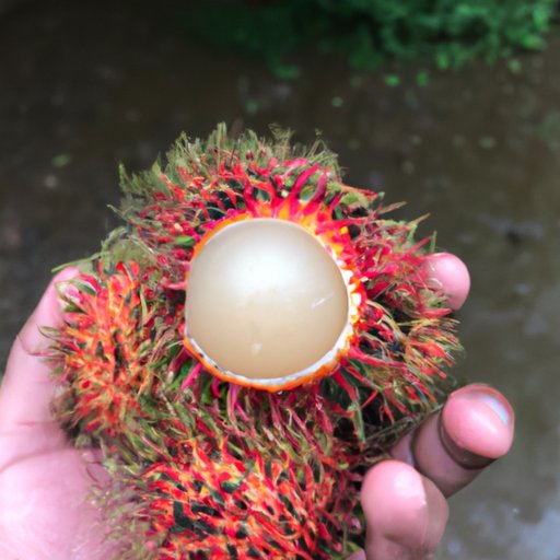 Tips for Eating Rambutans Safely