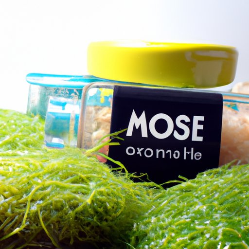 Popular Brands of Sea Moss Gel
