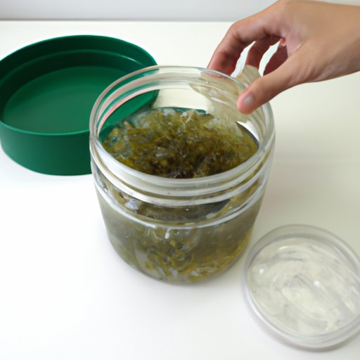 Tips on Storing and Preparing Sea Moss Gel