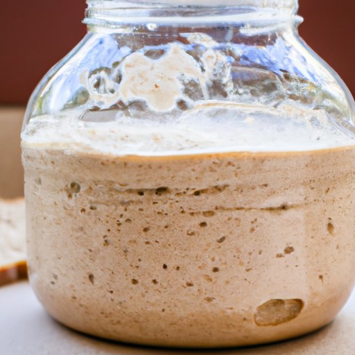 Troubleshooting Common Problems with Feeding Sourdough Starter