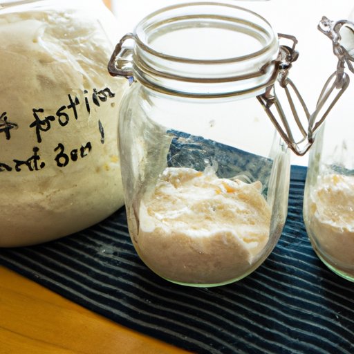 Get Started with Sourdough: A Guide to Feeding Starter Ratios