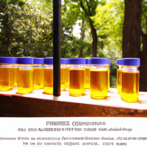 Research Potential Grants and Scholarships Available for IVF Financing