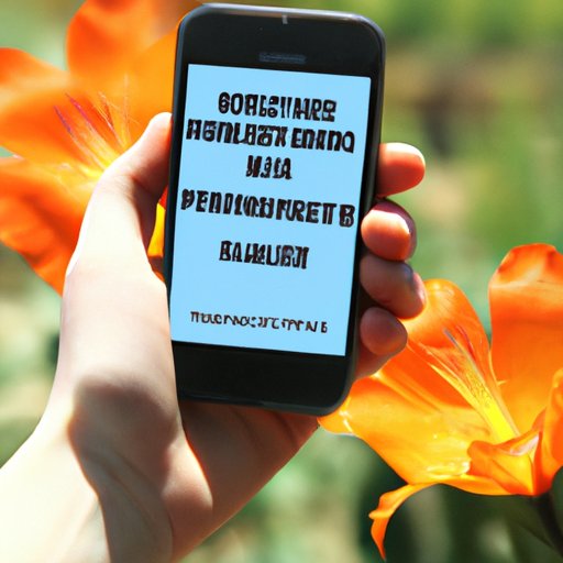 Research Potential Grant Opportunities Available to Small Businesses