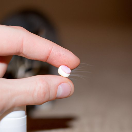 Putting the Pill Inside Something Smelly That Cats Like