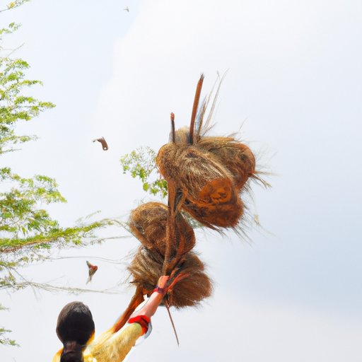 Move the Nests to a Higher Location