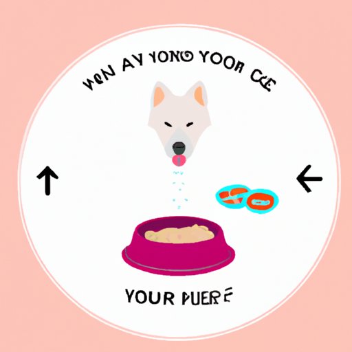 Feed Your Dog at Regular Intervals