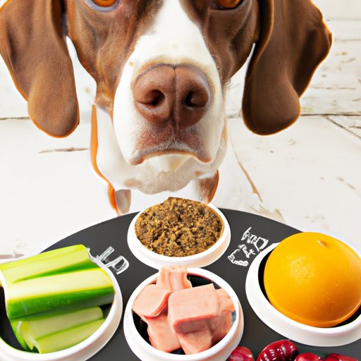 Feeding Your Dog a Balanced Diet