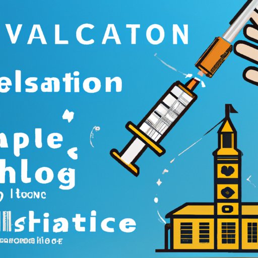 Overview of Travel Vaccinations and the NHS