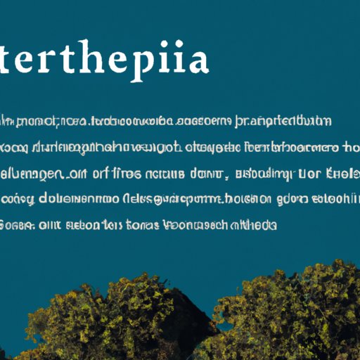 Exploring Aptera: A Comprehensive Guide to Investing in Sustainable Mobility