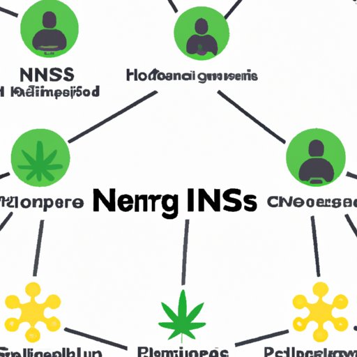 Network with Other Cannabis Investors