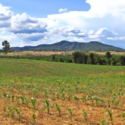 Benefits of Investing in Farmland