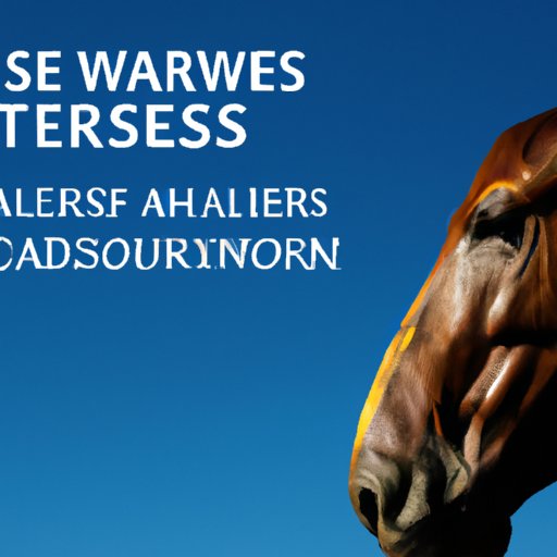 Risks Involved with Investing in Index Funds with Charles Schwab