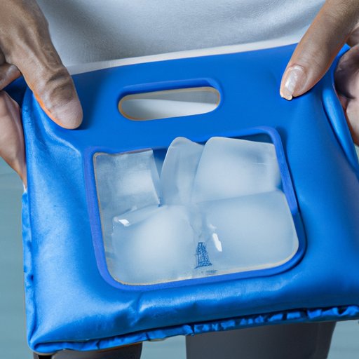 Bringing a Small Refrigerator or Thermal Bag with Ice Packs