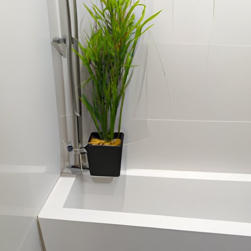 Place Plants in Bathtubs and Shower Stalls