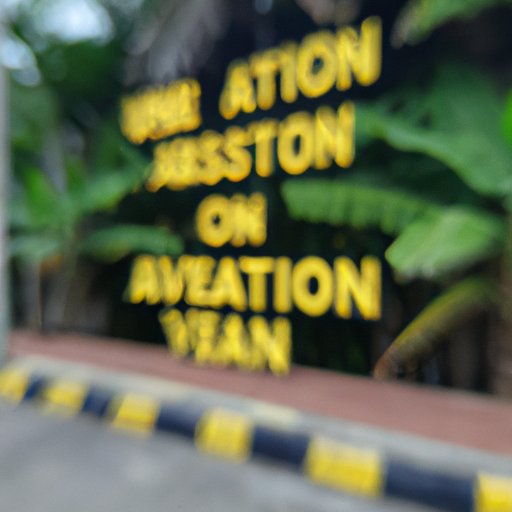 Pay Attention to Blurred Vision