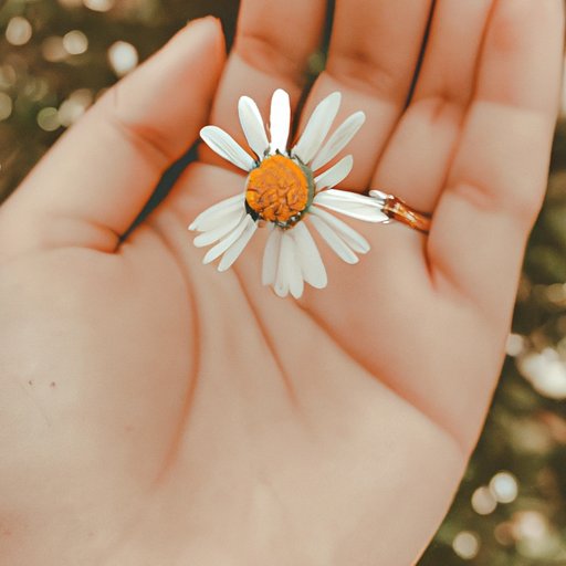 Appreciate the Small Things in Life