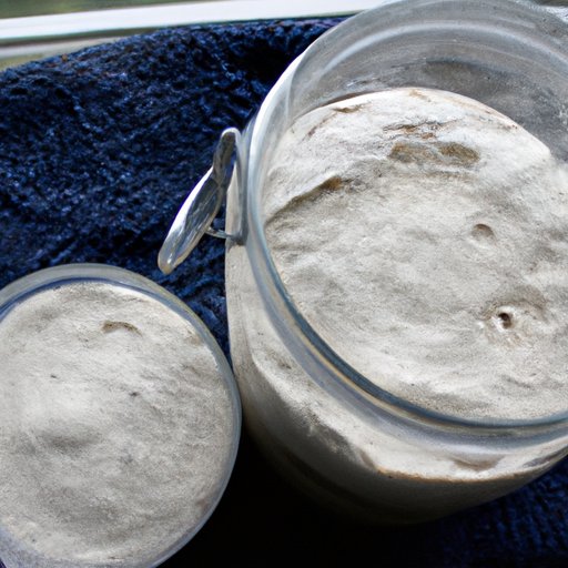The Science Behind Making a Sour Dough Bread Starter