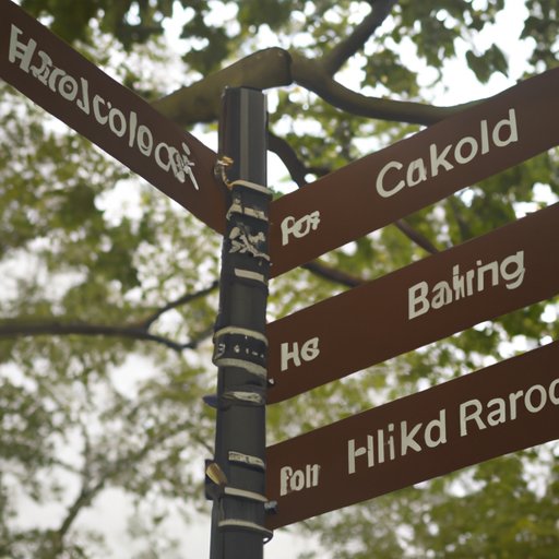 Decide on the Best Way to Get Around