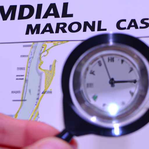 Research the Best Time to Visit Miami