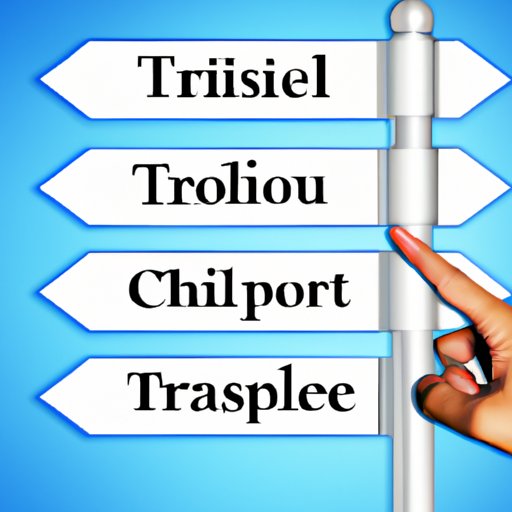 Choose a Destination and Type of Trip