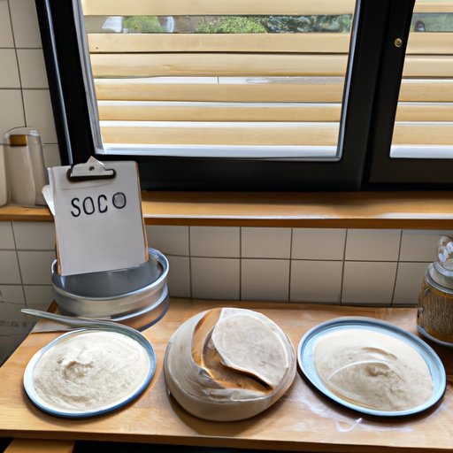 Experiences and Tips from Sourdough Bakers