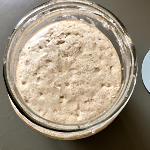 The Art of Crafting a Perfect Sourdough Starter