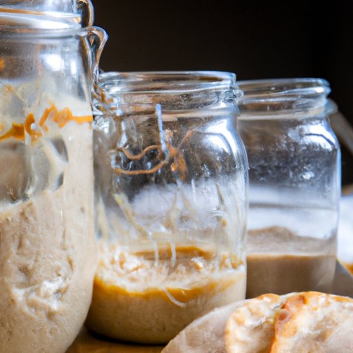 Tips for Successful Sourdough Starter Creation