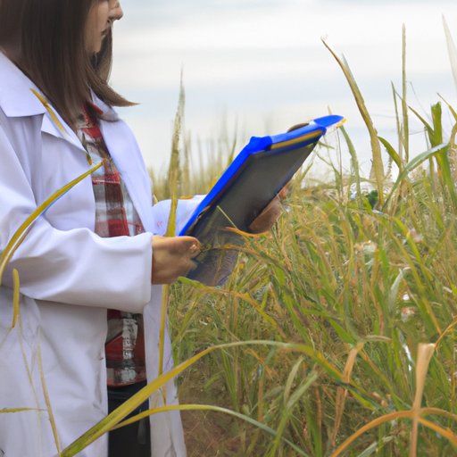 Research the Biofuel Industry to Understand the Market