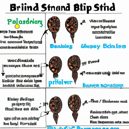 Outline the Steps to Starting a Braiding Business