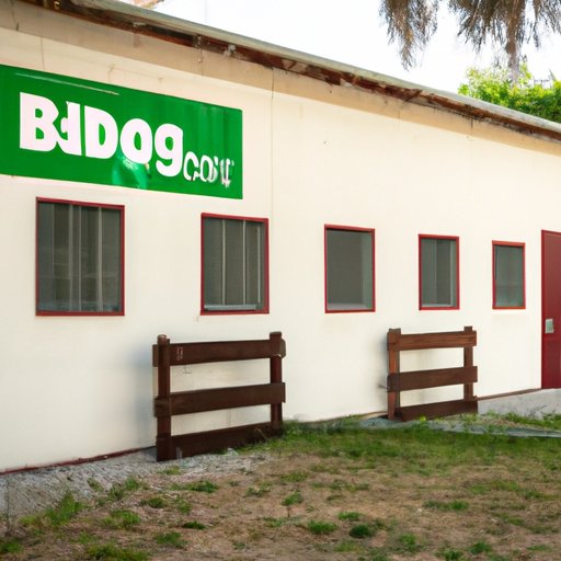 Overview of Dog Boarding Businesses