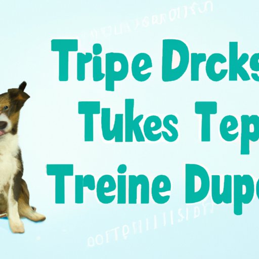 Tips on How to Market Your Dog Treat Business