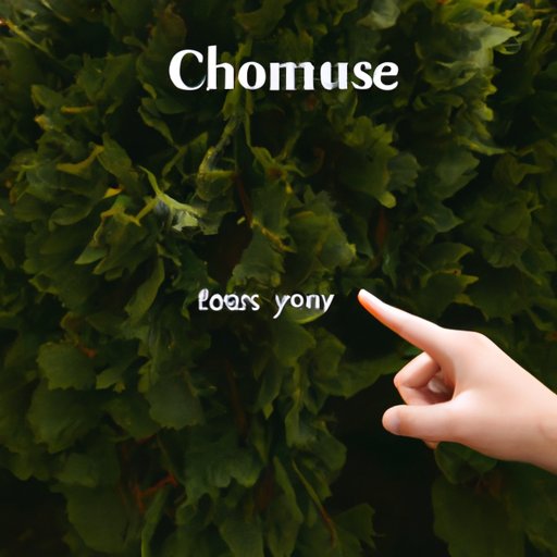 Choose an Appropriate Name for Your Page