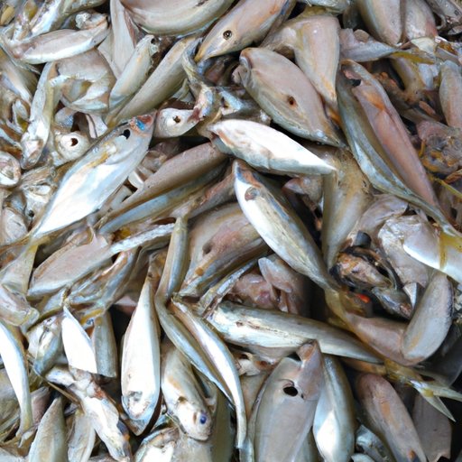 Research the Fishing Market in Your Area