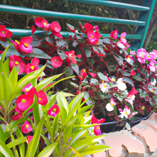 Overview of the Benefits of Flower Gardening