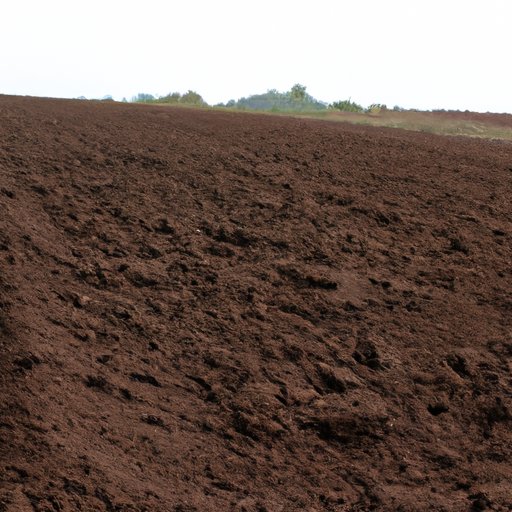 Prepare the Soil for Planting