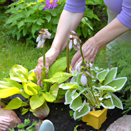 How to Choose the Right Plants for Your Garden
