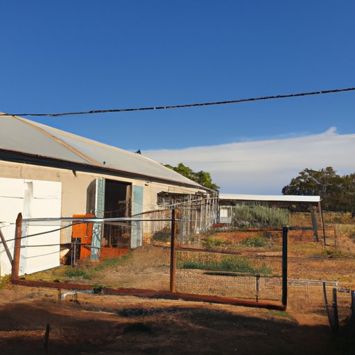 Highlighting the Challenges of Establishing a Homestead